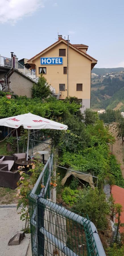Hotel Alina Cangas De Narcea Ngoại thất bức ảnh