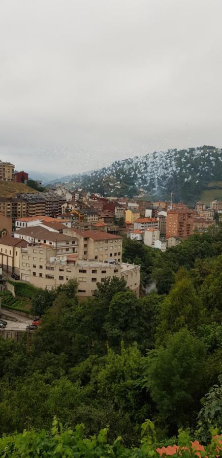 Hotel Alina Cangas De Narcea Ngoại thất bức ảnh